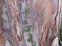 Bild 7169.webp