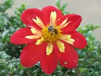 Bilda 0304.webp