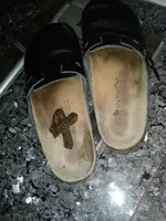 BOOTS.webp