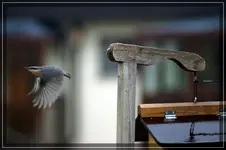 comp_DSC04700.webp