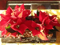 Bild 090.webp