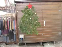 Bild 016.webp