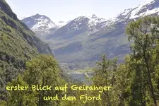 Troll13.webp