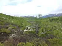 Dovre1.webp