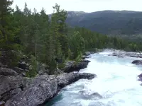 21.webp