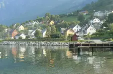23.webp