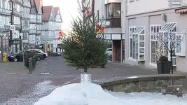 004.webp