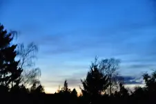 Mond1.webp