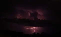 tomatenzöglinge_sub20.webp