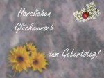 Sonnenblume mit Marienkaefer_GW.jpg