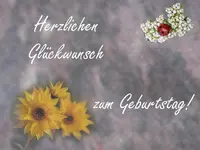 Sonnenblume mit Marienkaefer_GW.webp