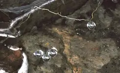Wasser2.webp
