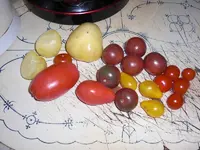 CIMG8708.webp