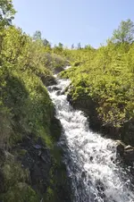WasserN.webp