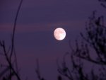 Fast-Vollmond_0014.JPG