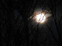Vollmond_0005.webp
