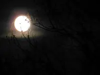 Vollmond_0014.webp