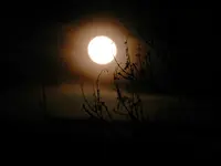 Wintermond_0020.webp