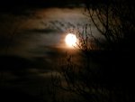 Wintermond_0050.JPG