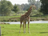 IMG_3364.webp