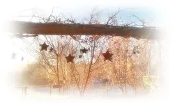 IMAG0443.webp