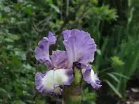 024.webp