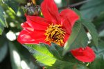 DSC05416.jpg