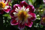 DSC04798.jpg