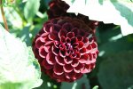 DSC04881.jpg