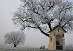 DSC_0563.jpg