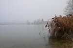 DSC_0564.jpg