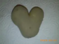 dez04 001.webp