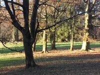 SAM_2574.webp