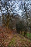 DSC_0566.jpg