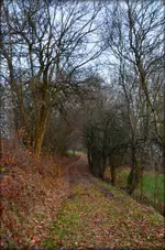 DSC_0566.webp