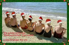 Frohes Fest NZ v.webp