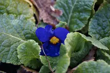 _DSC3860.webp