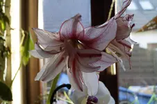_DSC3864.webp