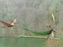 dez05 005.webp