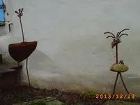 dez05 012.webp