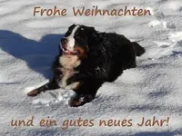 Weihnachtskarte3.webp