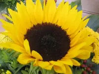 072.webp