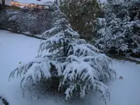 006.webp