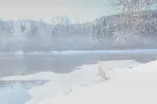 2012_1212Herbst0048 n.webp