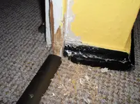Hamster 011.webp