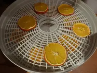 Orangenscheiben.webp