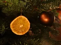 Christbaum.webp