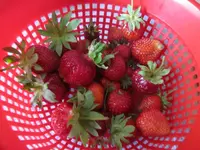 Copy of IMG_6961v.webp
