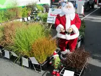 Copy of IMG_6844v.webp