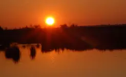 Moor3.webp